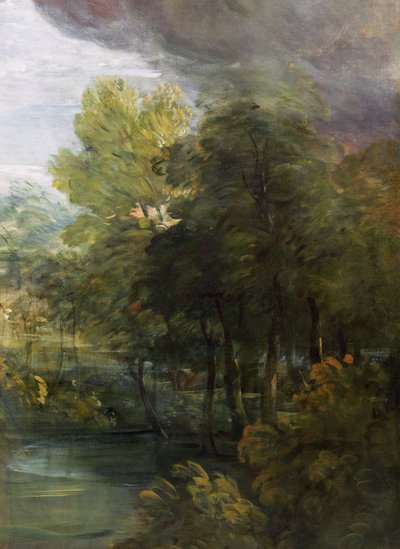 Paesaggio con una piscina da Thomas Gainsborough